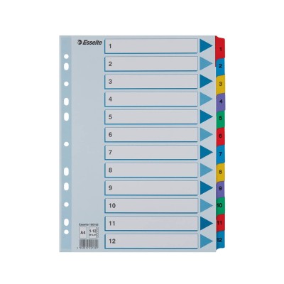 Elválasztólap, A4, regiszteres 1-12 laminált karton fülek 100162 Esselte