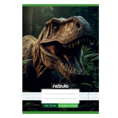 Füzet, A5, 4. osztályos vonalas, 21-32, Vagány minták, II., 16 db/csomag  Nebulo
