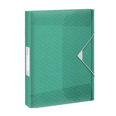 Gumis mappa A4 40 mm gerinc Jumbo Colour Breeze Esselte zöld