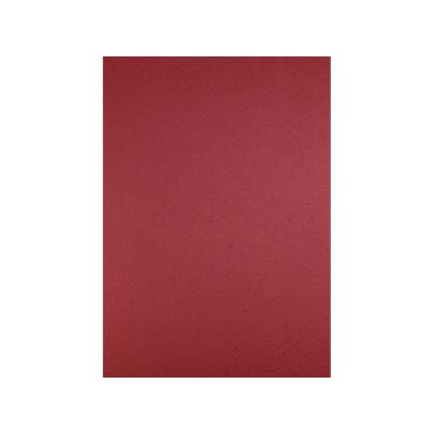 Hátlap, A4, 250 g. bőrhatású 100 db/csomag, Evo piros