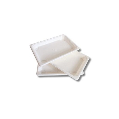 Papírtálca 185 x 128 x 20mm komposztálható cukornád 50 db/csomag